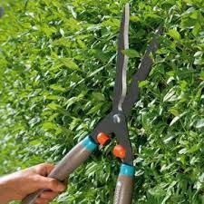 عامل قص شجر في الدمام