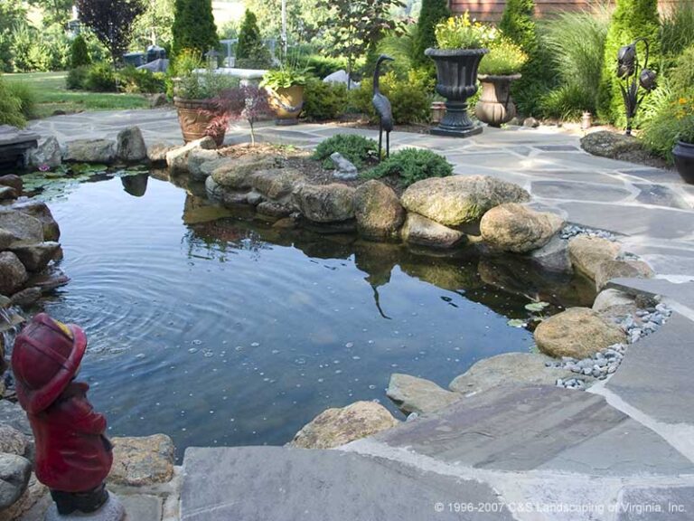 برك مائية مدمجة في تنسيق الحدائق